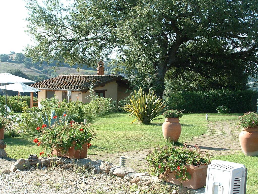 Podere Fingardella Guest House Paganico Ngoại thất bức ảnh