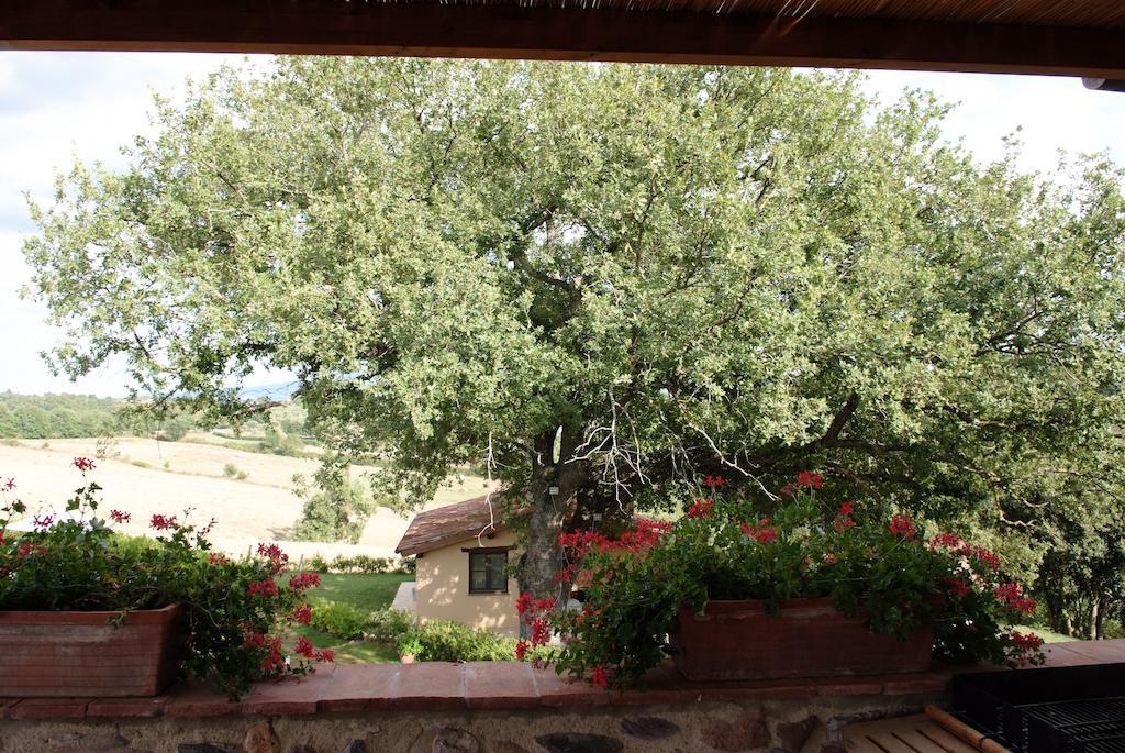 Podere Fingardella Guest House Paganico Ngoại thất bức ảnh