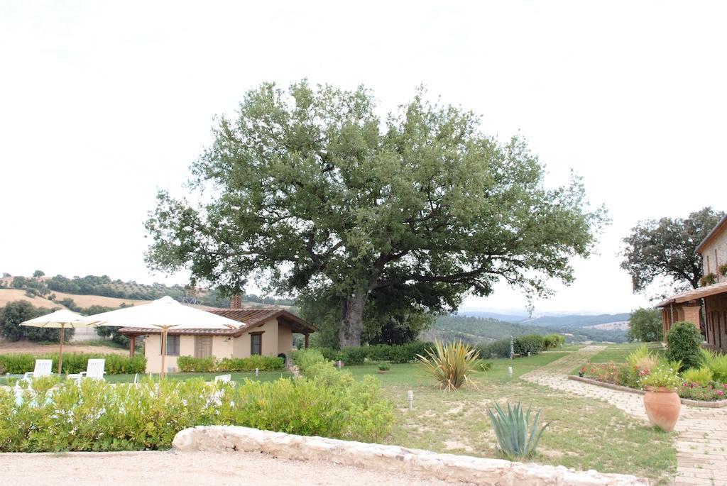 Podere Fingardella Guest House Paganico Ngoại thất bức ảnh